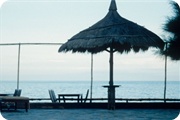 Bahama's