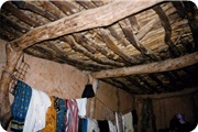 Guinee