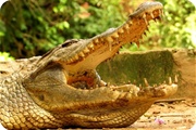 Tanzania