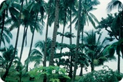 Kiribati