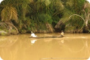 Suriname